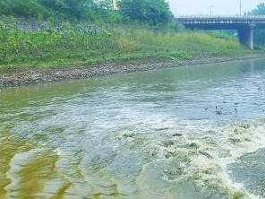 保定易县污水清运多少钱